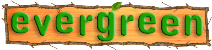 New Story: Evergreen